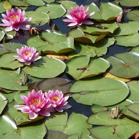 Rifugio Storico Sul Mare * Saint-Raphaël