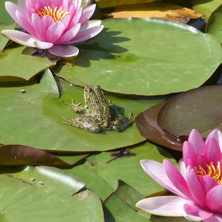 Rifugio Storico Sul Mare