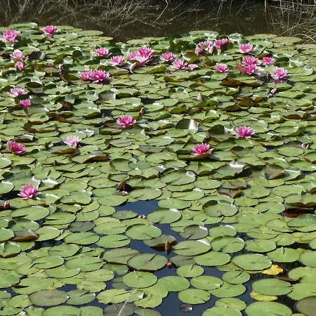 Casa de Férias Rifugio Storico Sul Mare *