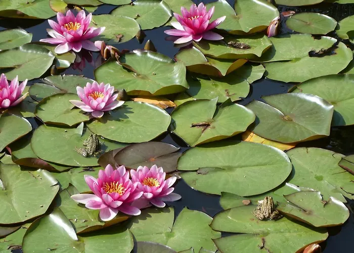 Rifugio Storico Sul Mare * Saint-Raphaël