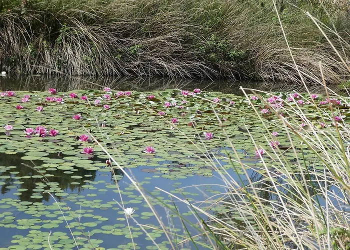 Rifugio Storico Sul Mare Сasa de vacaciones