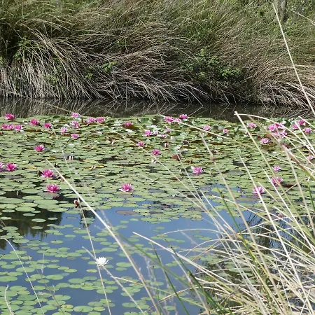 Rifugio Storico Sul Mare Ferienhaus