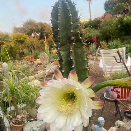 Rifugio Storico Sul Mare Будинок відпочинку *