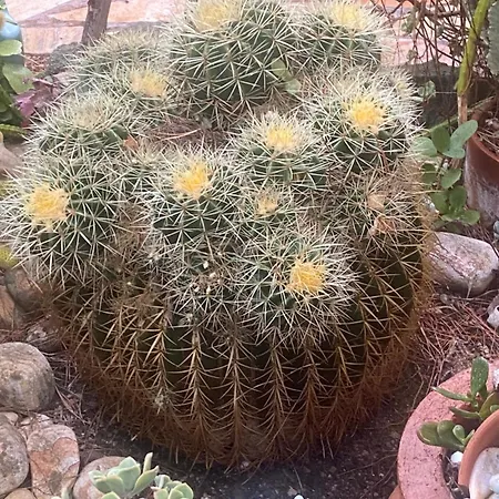 Rifugio Storico Sul Mare