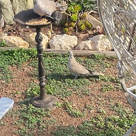 Ferienhaus Rifugio Storico Sul Mare Saint-Raphaël