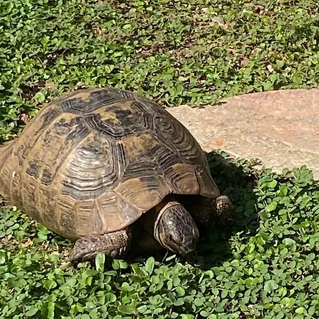 Rifugio Storico Sul Mare Saint-Raphaël