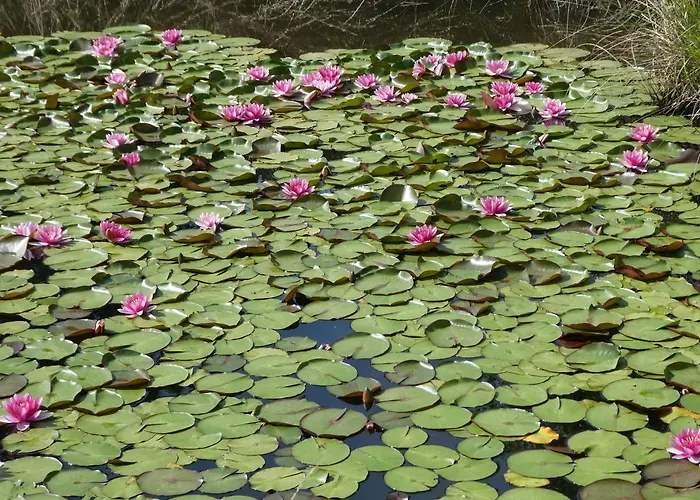 Dom wakacyjny Rifugio Storico Sul Mare *