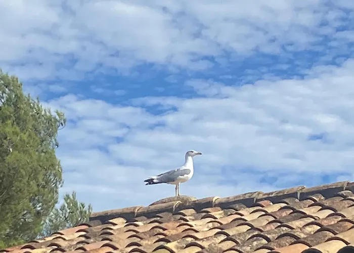 Rifugio Storico Sul Mare *