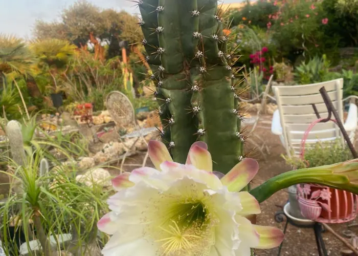 Rifugio Storico Sul Mare Dom wakacyjny *
