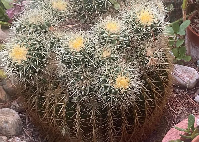 Rifugio Storico Sul Mare