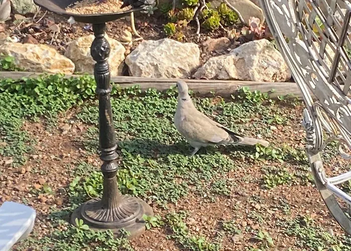 Будинок відпочинку Rifugio Storico Sul Mare Сен-Рафаель