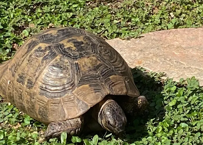 Rifugio Storico Sul Mare Сен-Рафаель